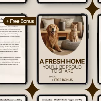 Reduce Pet Odors Fast: A Fresh, Guest-Ready Home